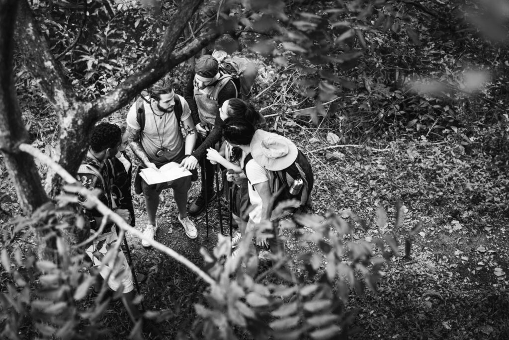 trekking together in a forest trekking together in a forest